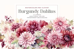 4 Watercolor Burgundy Dahlias Clipart Product Image 1