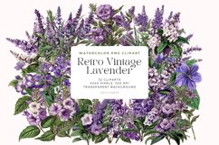 Watercolor Retro Vintage Lavender Flower Clipart Product Image 1