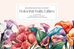 Watercolor Colorful Calla Lillies Cliparts Product Image 1