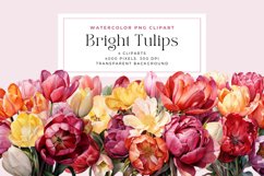 4 Watercolor Bright Tulips Clipart Product Image 1