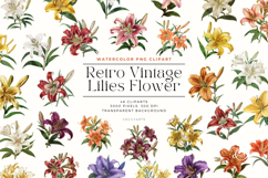 Watercolor Retro Vintage Lilies Flower Clipart Bundle Product Image 1