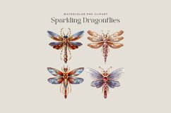 4 Watercolor Sparkling Dragonflies Clipart Product Image 2
