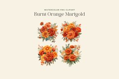 4 Watercolor Burnt Orange Marigold Clipart Product Image 2