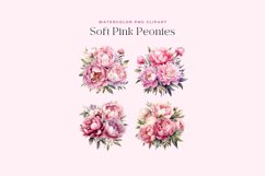 4 Watercolor Soft Pink Peonies Clipart Product Image 2