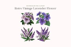 Watercolor Retro Vintage Lavender Flower Clipart Product Image 2