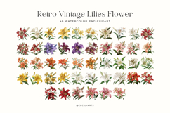 Watercolor Retro Vintage Lilies Flower Clipart Bundle Product Image 2