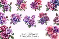 40 Watercolor Deep Pink and Lavender Roses Clipart Product Image 2