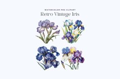 Watercolor Retro Vintage Iris Clipart Product Image 2
