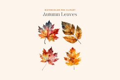 4 Watercolor Autumn Leaves Clipart Product Image 2
