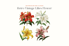 Watercolor Retro Vintage Lilies Flower Clipart Product Image 2