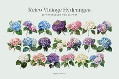 Watercolor Retro Vintage Hydrangea Clipart Bundle Product Image 2