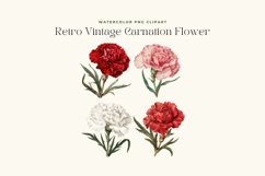 Watercolor Retro Vintage Carnation Flower Clipart Product Image 2