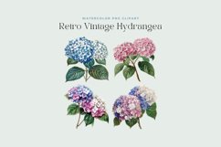 Watercolor Retro Vintage Hydrangea Clipart Product Image 2