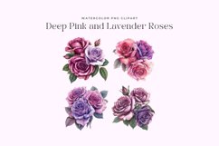 Watercolor Deep Pink and Lavender Roses Clipart Product Image 2