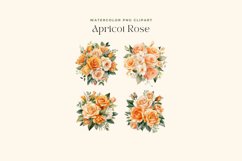 4 Watercolor Apricot Rose Clipart Product Image 2