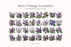 Watercolor Retro Vintage Lavender Flower Clipart Product Image 2