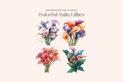 Watercolor Colorful Calla Lillies Cliparts Product Image 2