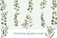 Watercolor Fern Eucalyptus Leaf Clipart Bundle Product Image 2