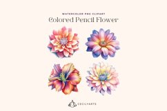 4 Watercolor Colored Pencil Flower Clipart Product Image 2