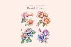 Watercolor Colored Pencil Pastel Roses Clipart Product Image 2