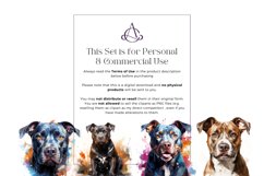 15 Watercolor Pitbull Clipart Product Image 3