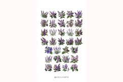 Watercolor Retro Vintage Lavender Flower Clipart Product Image 3