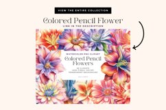 4 Watercolor Colored Pencil Flower Clipart Product Image 3