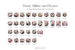 Watercolor Dusty Miller and Roses Clipart Bundle Product Image 3