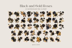 Watercolor Colored Pencil Black and Gold Rose Clipart Bundle Product Image 3