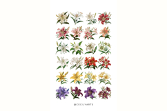 Watercolor Retro Vintage Lilies Flower Clipart Bundle Product Image 3