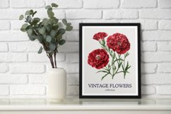Watercolor Retro Vintage Carnation Flower Clipart Product Image 3