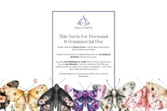 Watercolor Floral Moth Clipart Bundle Product Image 4