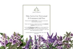 Watercolor Retro Vintage Lavender Flower Clipart Product Image 4