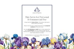 Watercolor Retro Vintage Iris Clipart Bundle Product Image 4