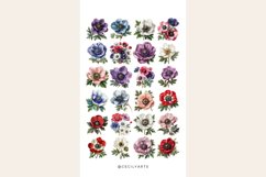 Watercolor Anemone Clipart Bundle Product Image 4