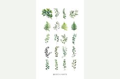 Watercolor Fern Eucalyptus Leaf Clipart Bundle Product Image 4