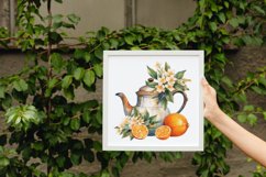 4 Watercolor Oranges Clipart Product Image 4
