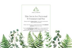 Watercolor Fern Eucalyptus Leaf Clipart Bundle Product Image 5
