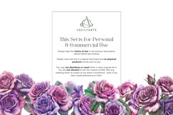 40 Watercolor Deep Pink and Lavender Roses Clipart Product Image 6