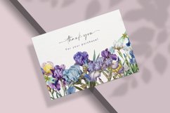 Watercolor Retro Vintage Iris Clipart Bundle Product Image 6