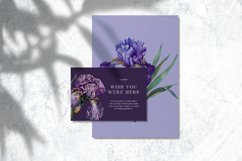 Watercolor Retro Vintage Iris Clipart Bundle Product Image 7
