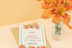 44 Watercolor Colored Pencil Peach Roses Clipart Product Image 9