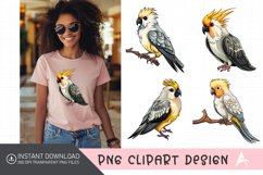 Watercolor Cockatiel Sublimation Clipart Product Image 1