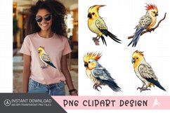 Watercolor Cockatiel Sublimation Clipart Product Image 1