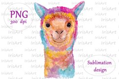 Watercolor Colorful Llama Sublimation Design - Animals PNG Product Image 2
