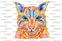 Watercolor Colorful Lynx Cat Sublimation Design -Animals PNG Product Image 7