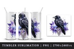 Watercolor cool glamour crow black bird superstar sparkle diamonds print 20 oz tumbler skinny mug wrap clipart t-shirt sublimation printable design