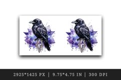 Watercolor cool glamour crow black bird superstar sparkle diamonds print 20 oz tumbler skinny mug wrap clipart t-shirt sublimation printable design