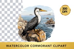 Watercolor cormorant Clipart , Animal Sublimation PNG Product Image 1