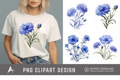 Watercolor Cornflowers Clipart Product Image 1
